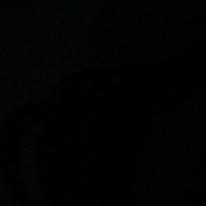 Meet your Posher, Autumn